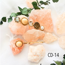 Load image into Gallery viewer, 2 piece hair clips set warm colors

