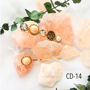 2 piece hair clips set warm colors